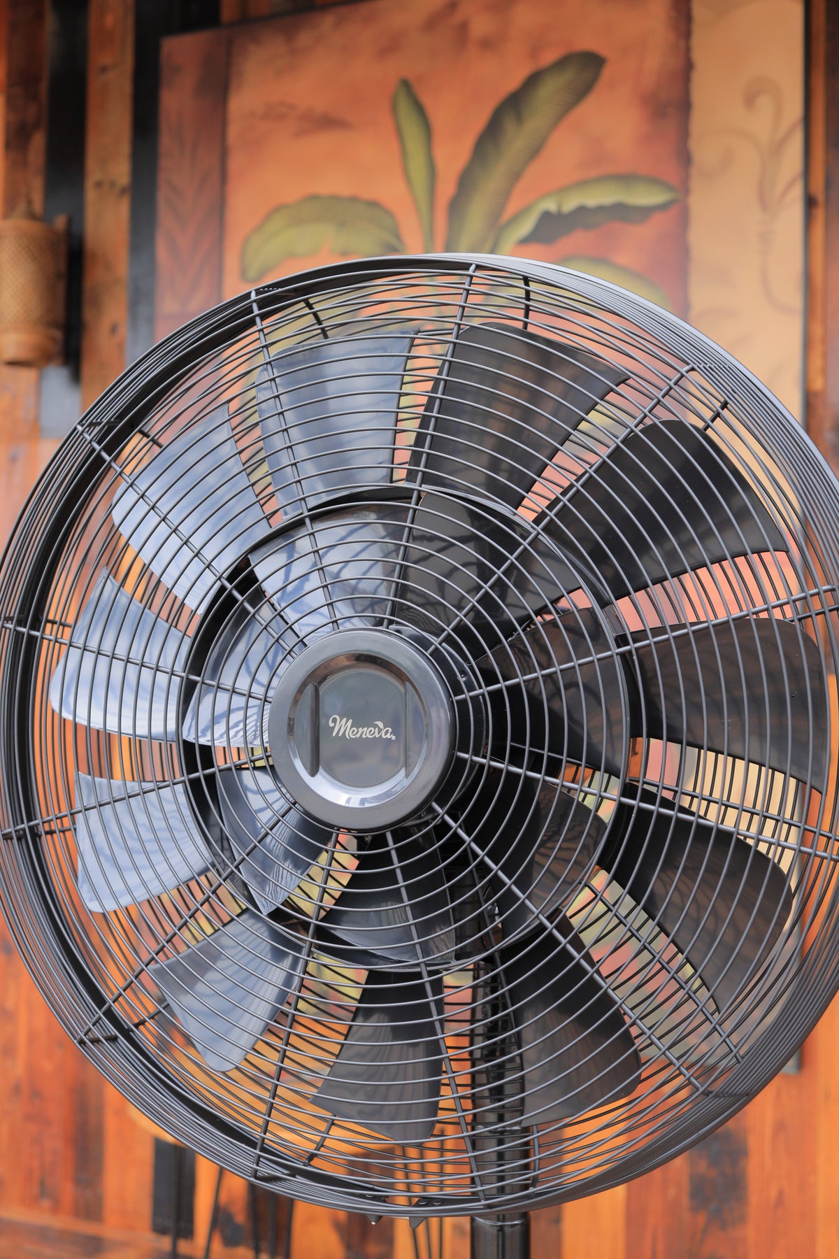 Meneva BLDC 18"                                                              Tripod Fan